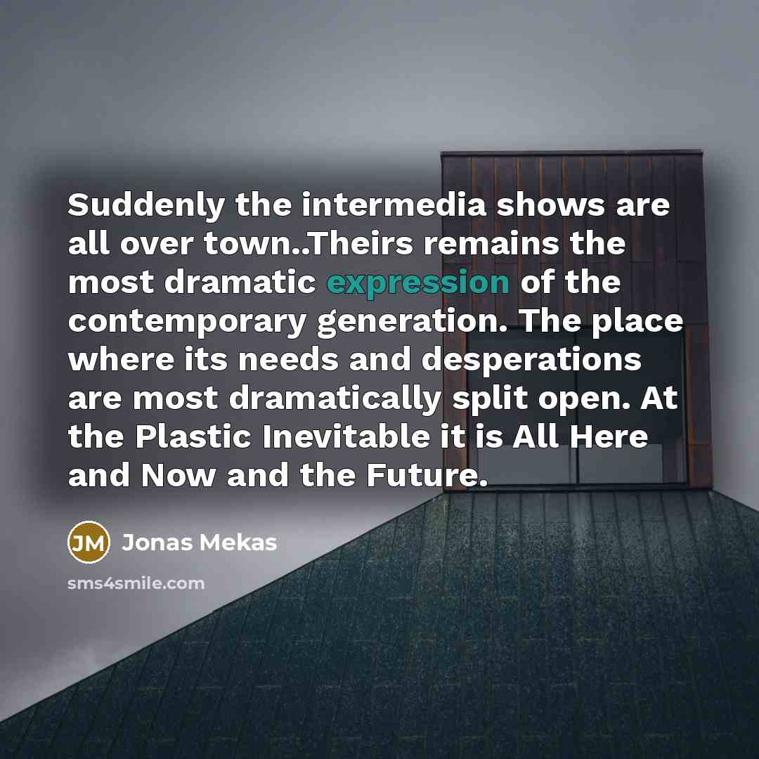 “Suddenly the intermedia shows are all over town..Theirs remains the…” quote by Jonas Mekas