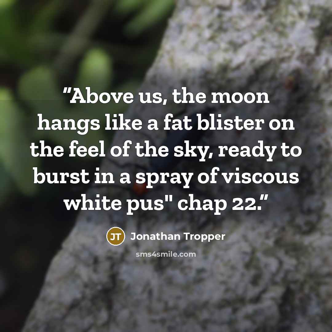 “Above us, the moon hangs like a fat blister on the feel of the sky, ready to burst in a spray of viscous white pus" chap 22.” quote by Jonathan Tropper