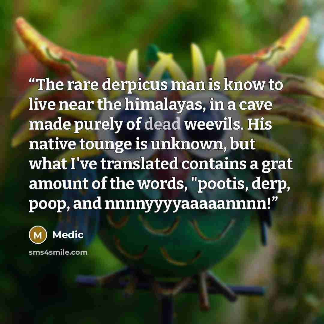 “The rare derpicus man is know to live near the himalayas, in a cave made purely of dead weevils. His native tounge is unknown, but what I've translated contains a grat amount of the words, "pootis, derp, poop, and nnnnyyyyaaaaannnn!” quote by Medic