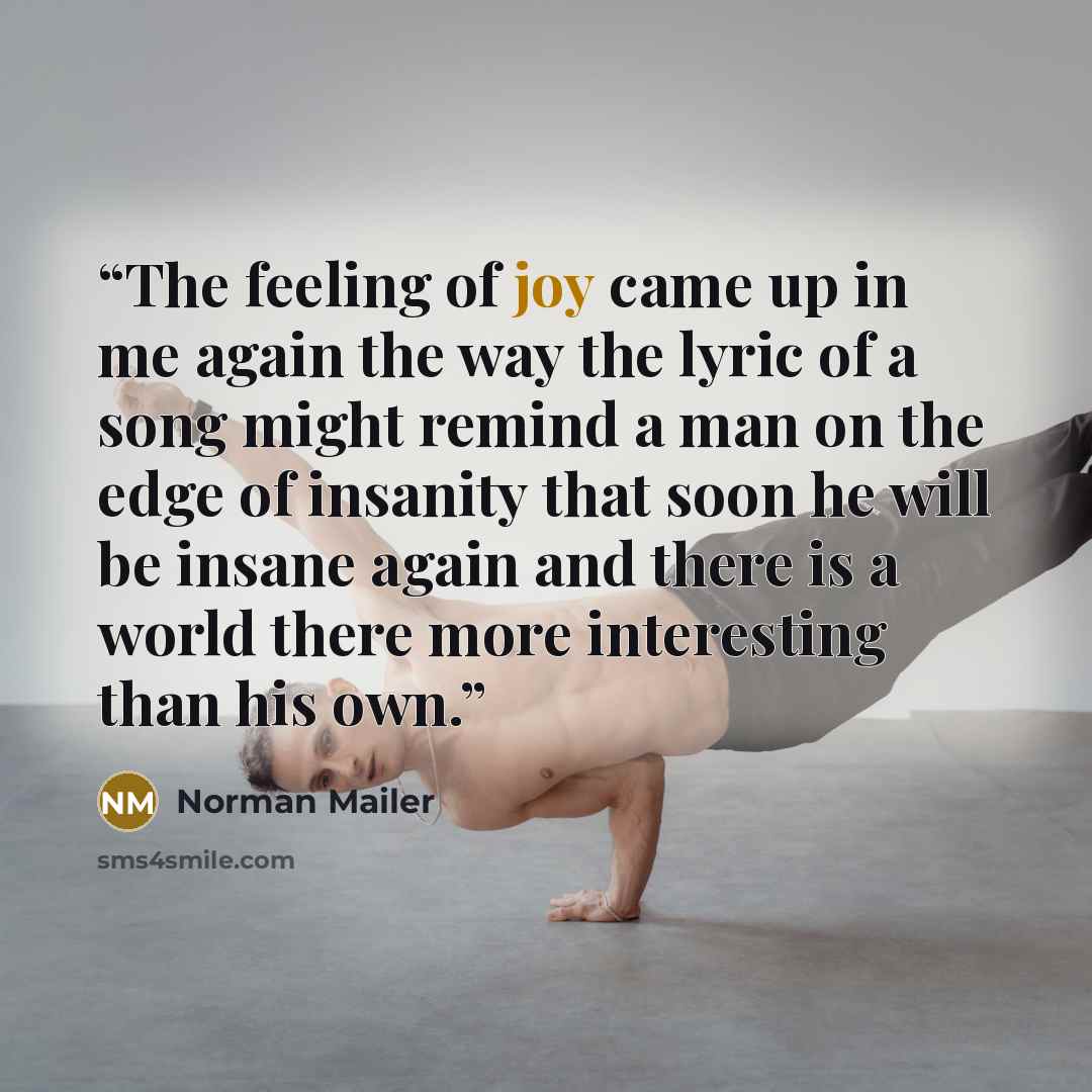“The feeling of joy came up in me again the way the lyric of a song might remind a man on the edge of insanity that soon he will be insane again and there is a world there more interesting than his own.” quote by Norman Mailer