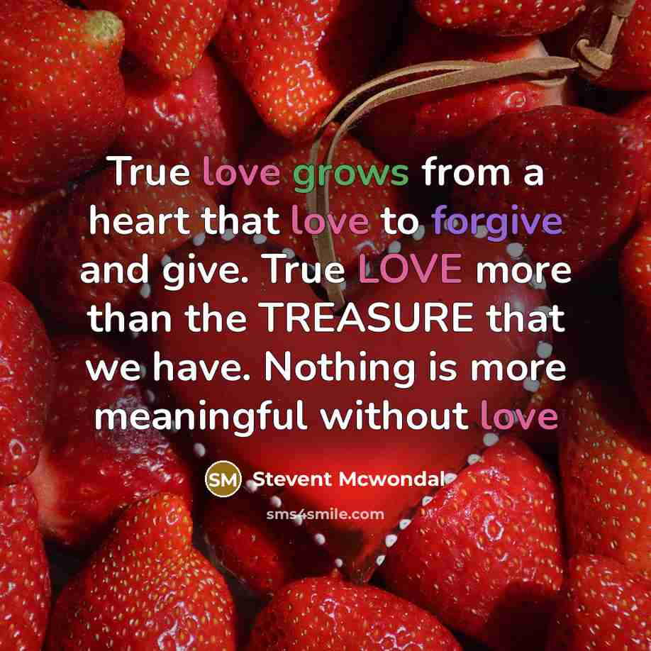 “True love grows from a heart that love to forgive and give. True LOVE more than the TREASURE that we have. Nothing is more meaningful without love” quote by Stevent Mcwondal