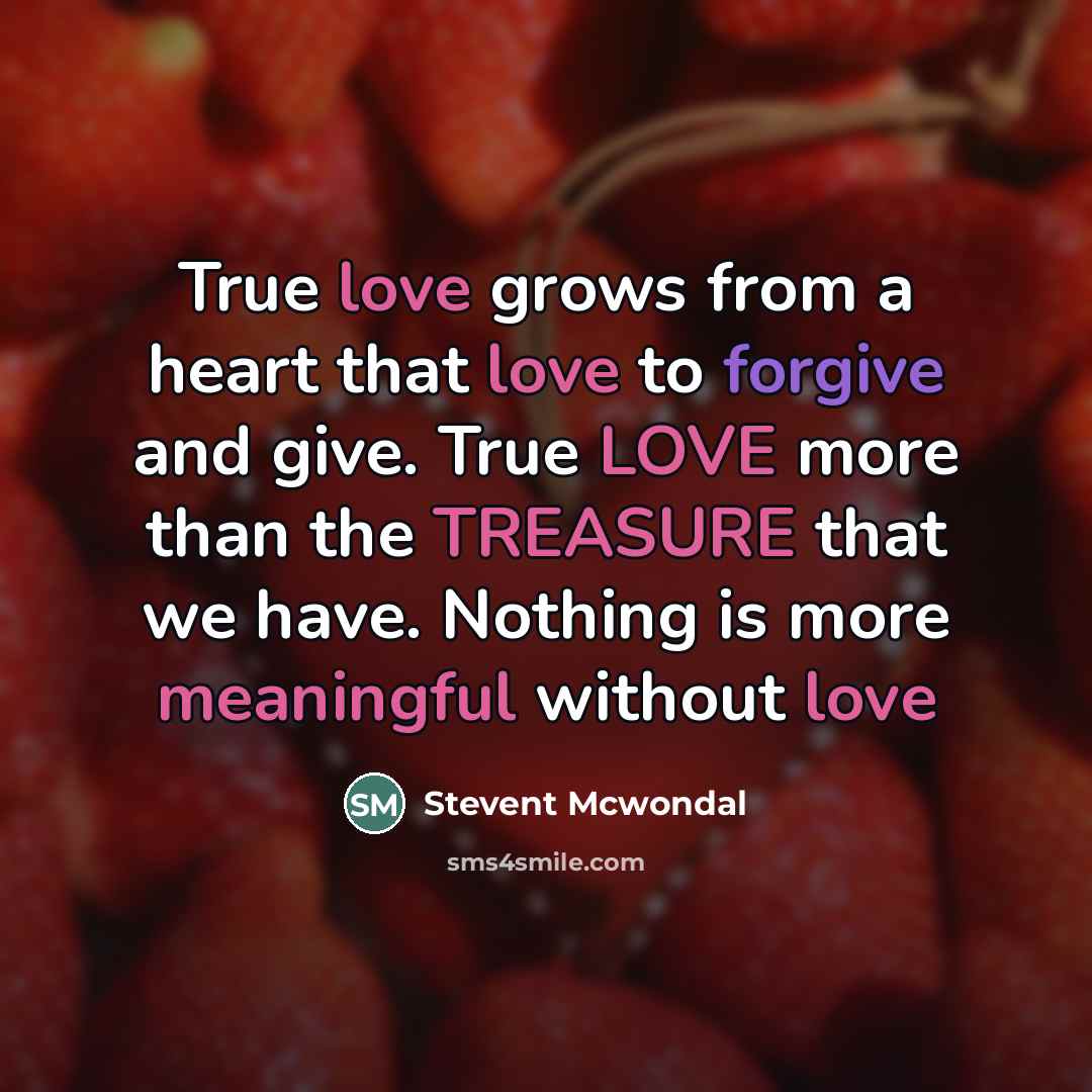 “True love grows from a heart that love to forgive…” quote by Stevent Mcwondal