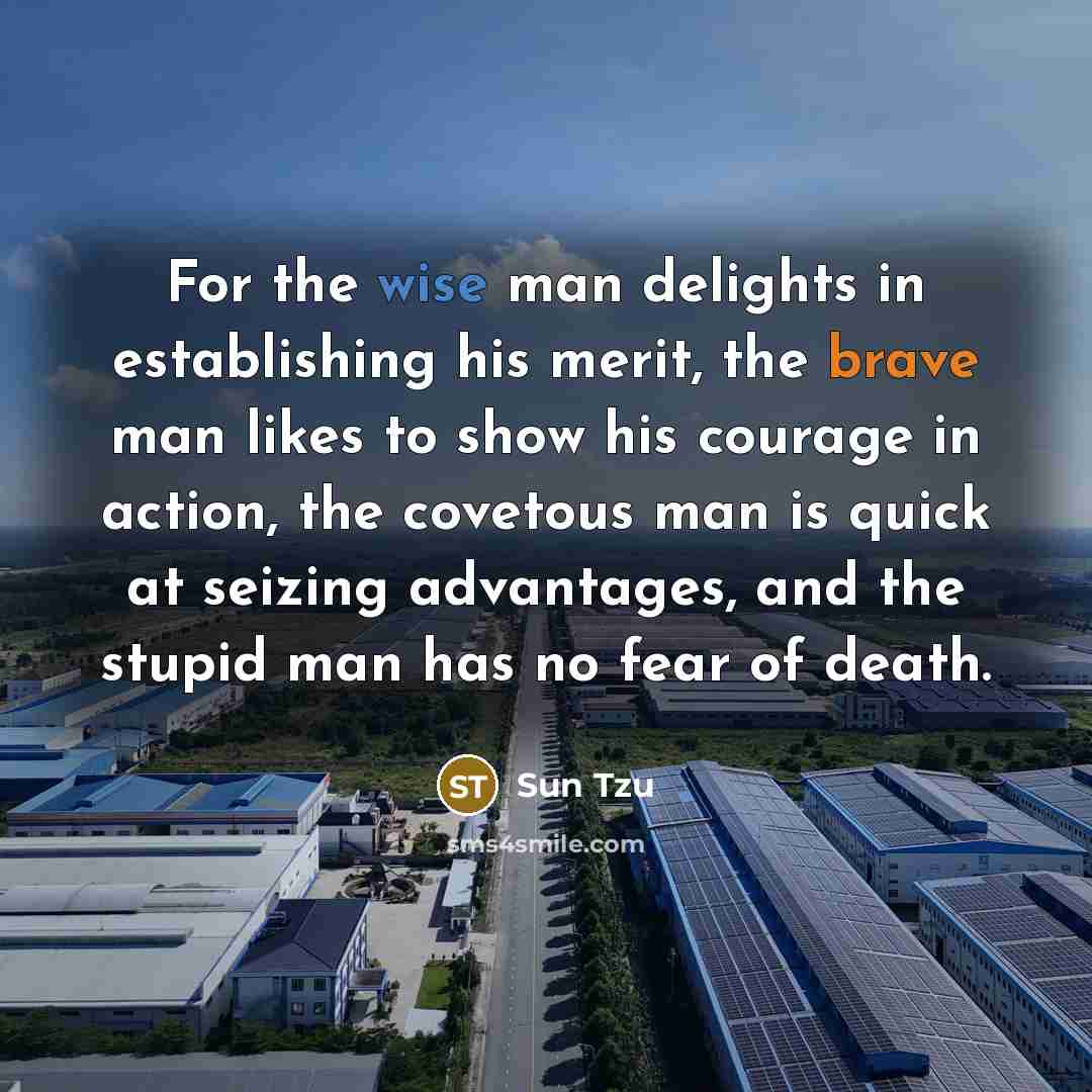 “For the wise man delights in establishing his merit, the…” quote by Sun Tzu