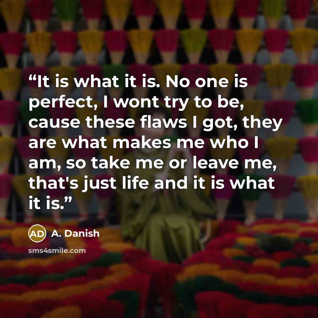 “It is what it is. No one is perfect, I wont try to be, cause these flaws I got, they are what makes me who I am, so take me or leave me, that's just life and it is what it is.” quote by A. Danish