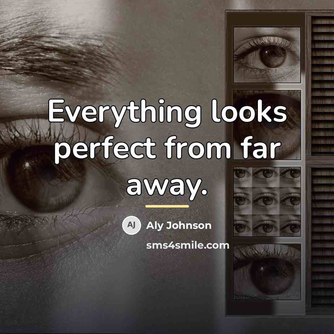 “Everything looks perfect from far away.…” quote by Aly Johnson