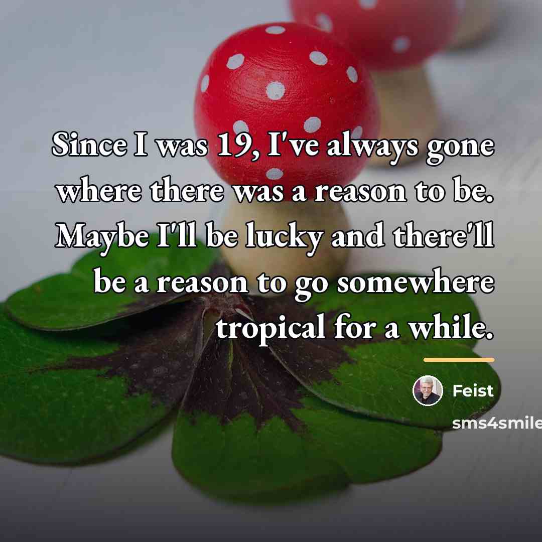 “Since I was 19, I've always gone where there was…” quote by Feist