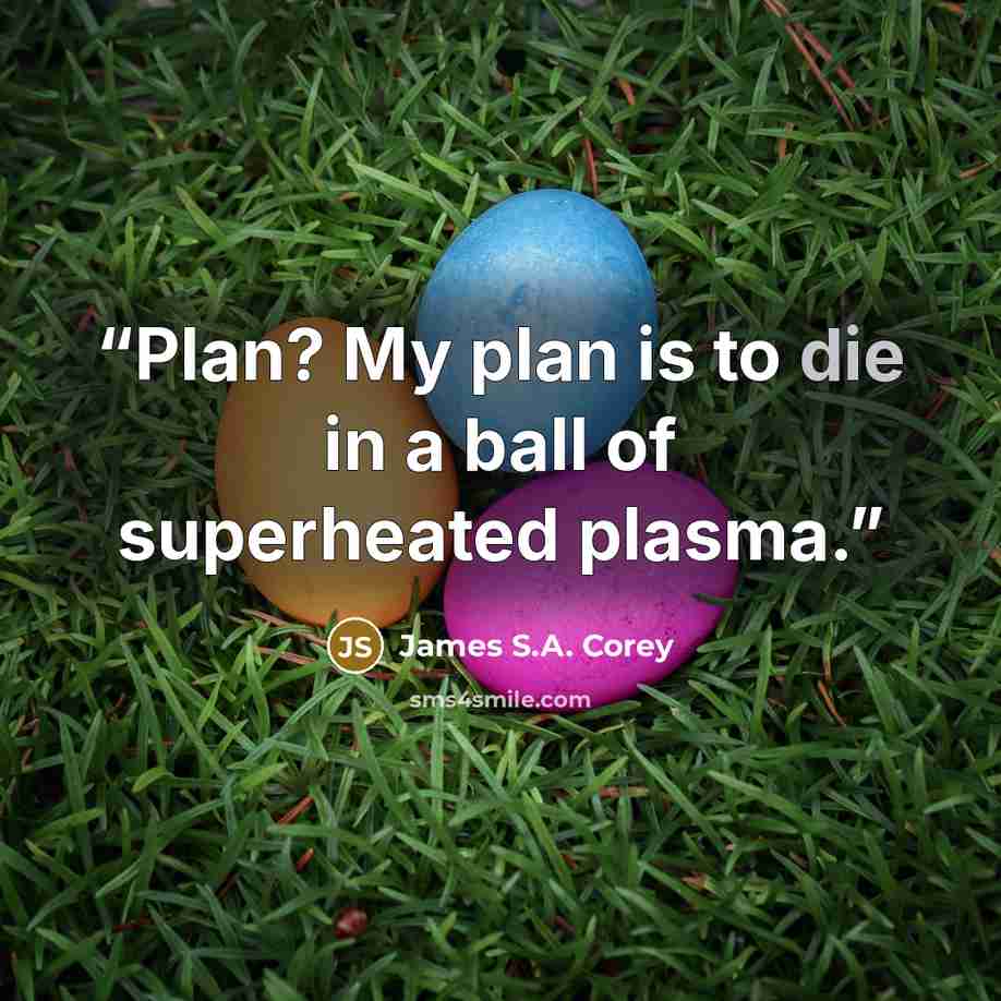 “Plan? My plan is to die in a ball of superheated plasma.” quote by James S.A. Corey