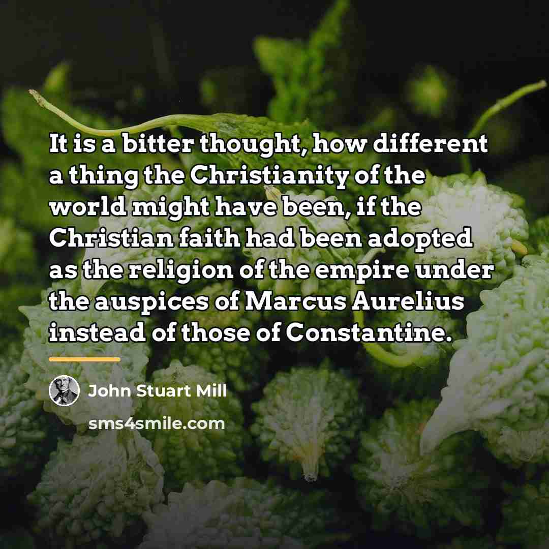 “It is a bitter thought, how different a thing the…” quote by John Stuart Mill