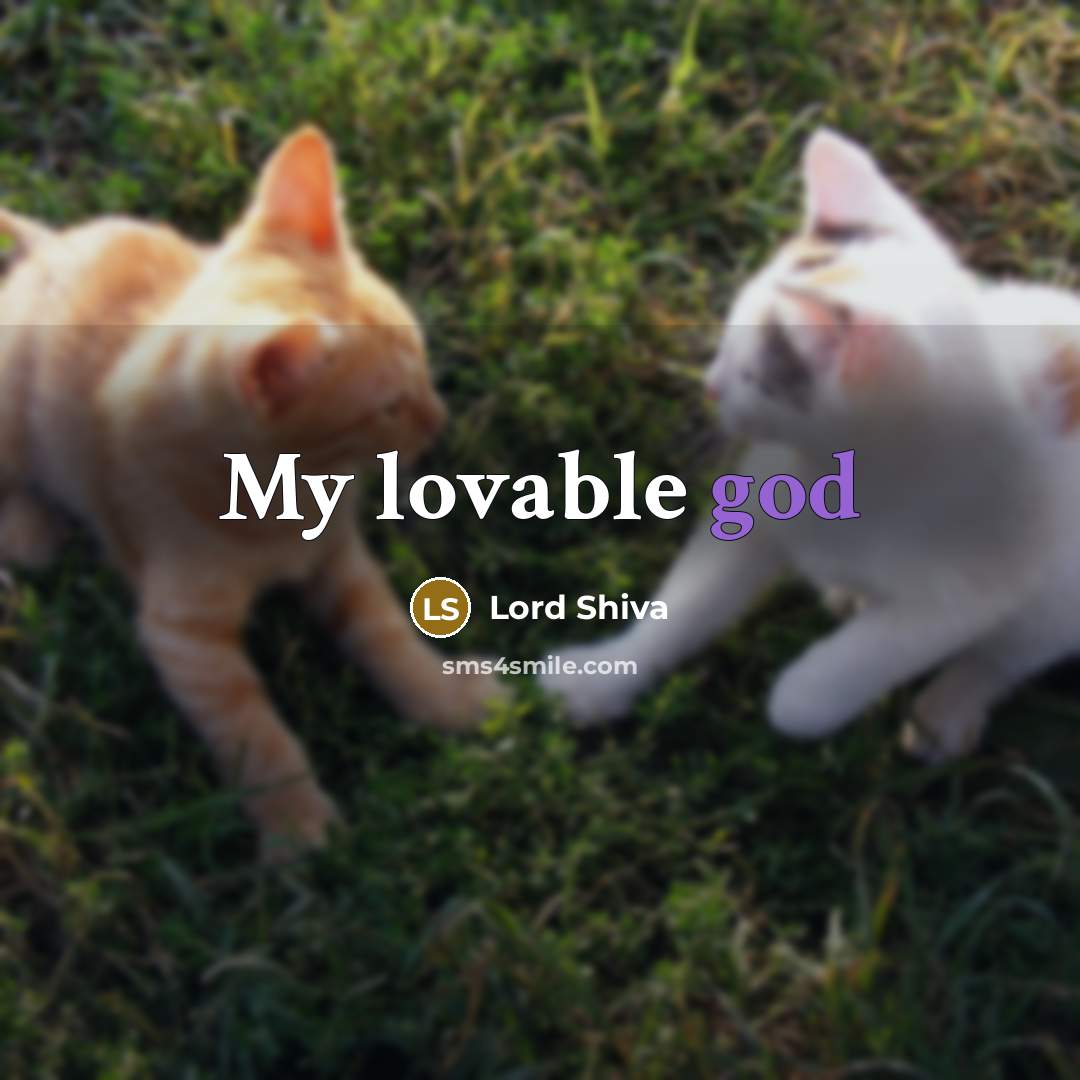 “My lovable god” quote by Lord Shiva