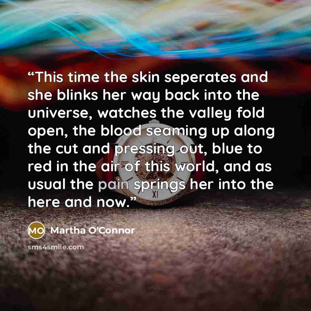 “This time the skin seperates and she blinks her way back into the universe, watches the valley fold open, the blood seaming up along the cut and pressing out, blue to red in the air of this world, and as usual the pain springs her into the here and now.” quote by Martha O'Connor