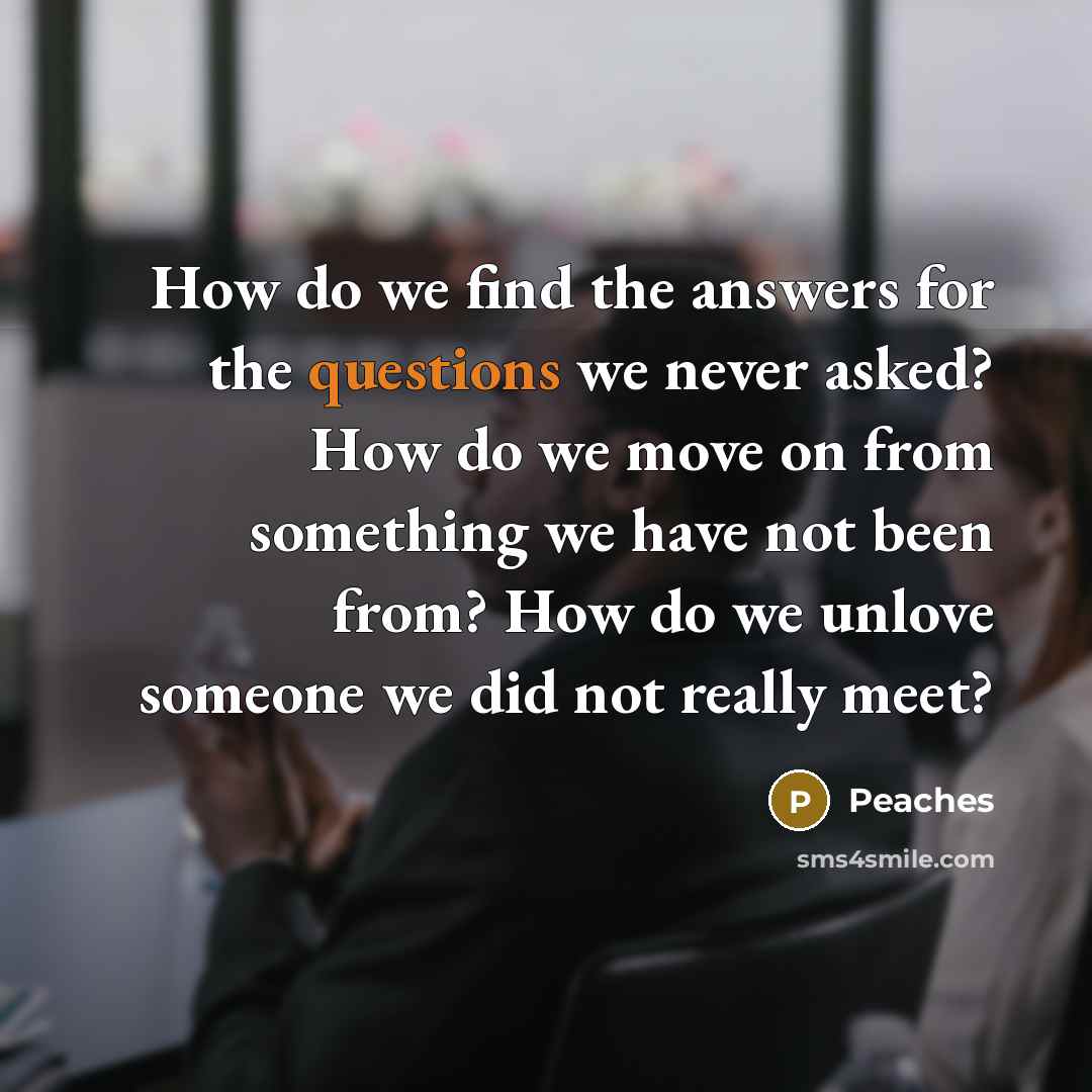 “How do we find the answers for the questions we never asked? How do we move on from something we have not been from? How do we unlove someone we did not really meet?” quote by Peaches