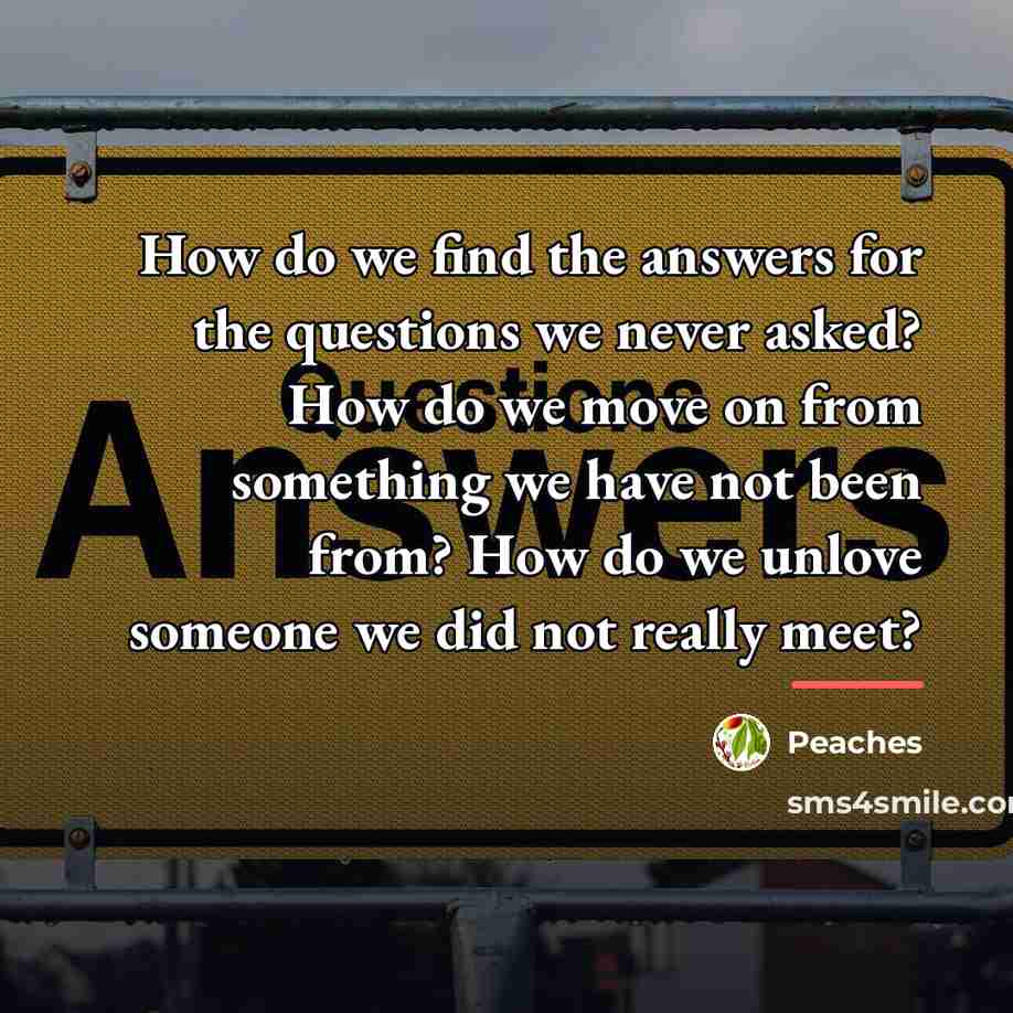 “How do we find the answers for the questions we…” quote by Peaches