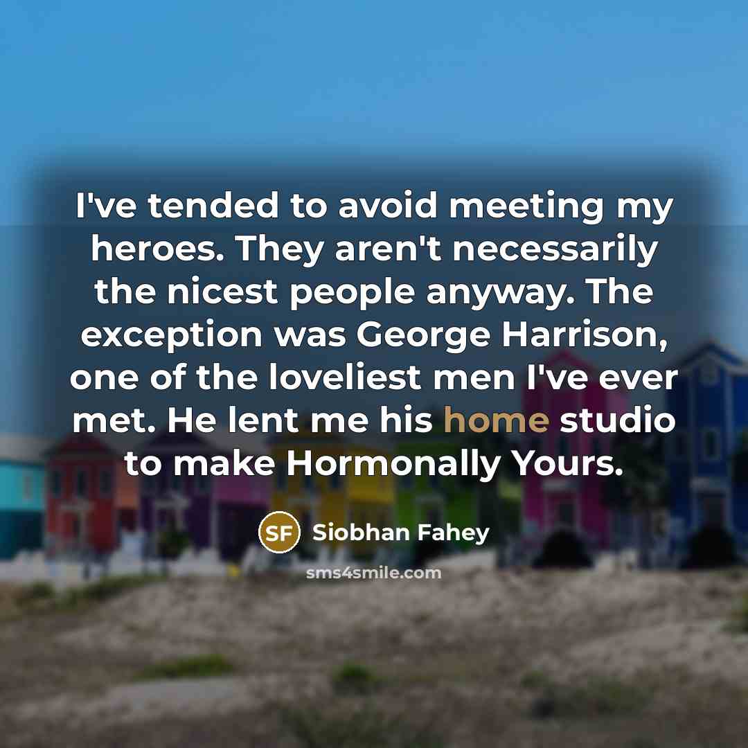 “I've tended to avoid meeting my heroes. They aren't necessarily…” quote by Siobhan Fahey