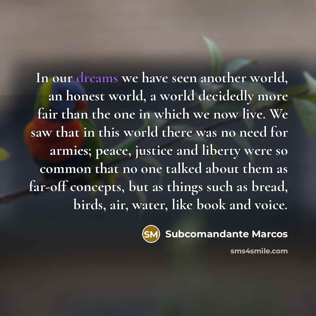 “In our dreams we have seen another world, an honest…” quote by Subcomandante Marcos