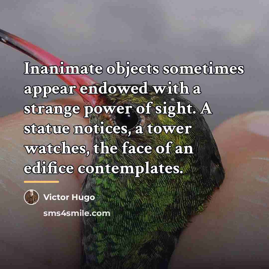 “Inanimate objects sometimes appear endowed with a strange power of…” quote by Victor Hugo