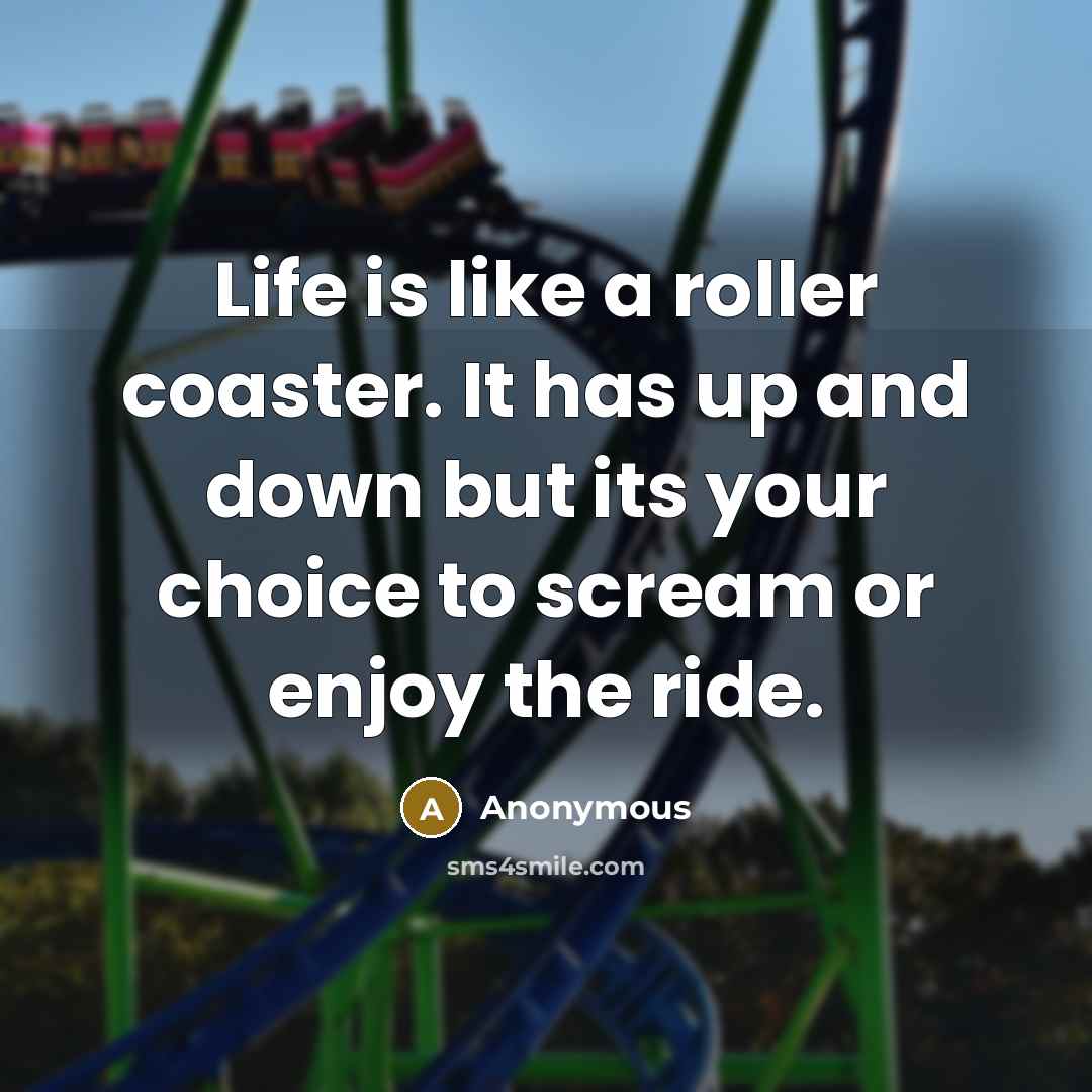 “Life is like a roller coaster. It has up and down but its your choice to scream or enjoy the ride.” quote by Anonymous