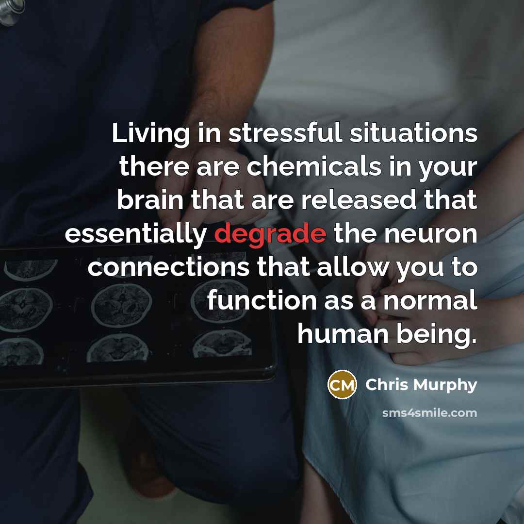 “Living in stressful situations there are chemicals in your brain…” quote by Chris Murphy