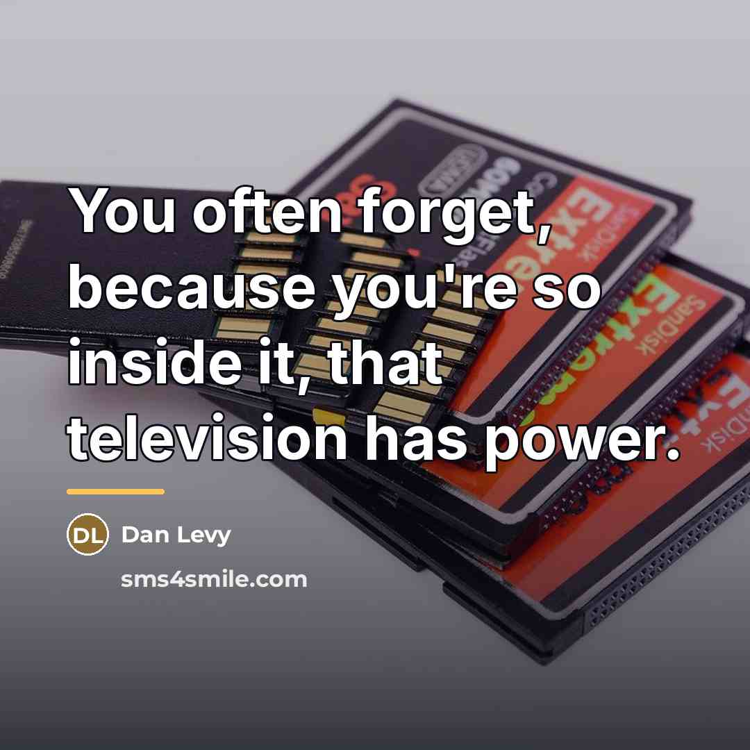 “You often forget, because you're so inside it, that television…” quote by Dan Levy