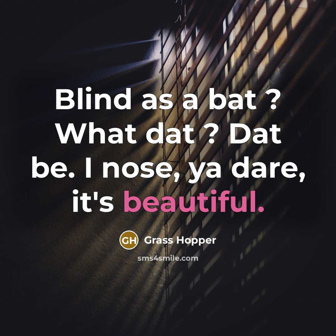 “Blind as a bat ? What dat ? Dat be.…” quote by Grass Hopper