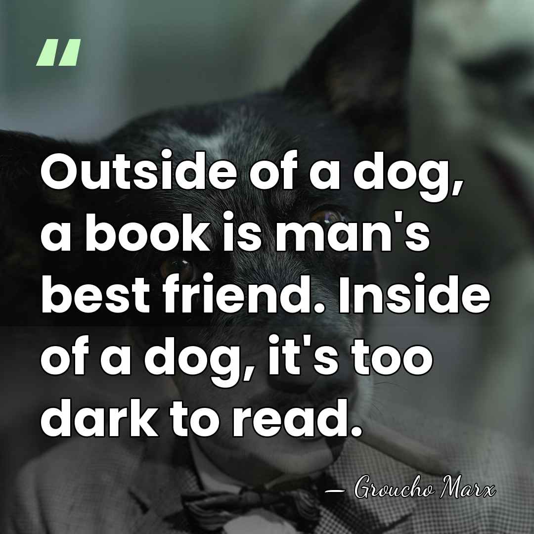 Outside of a dog, a book is man's best friend. Inside of&hellip; - Groucho Marx