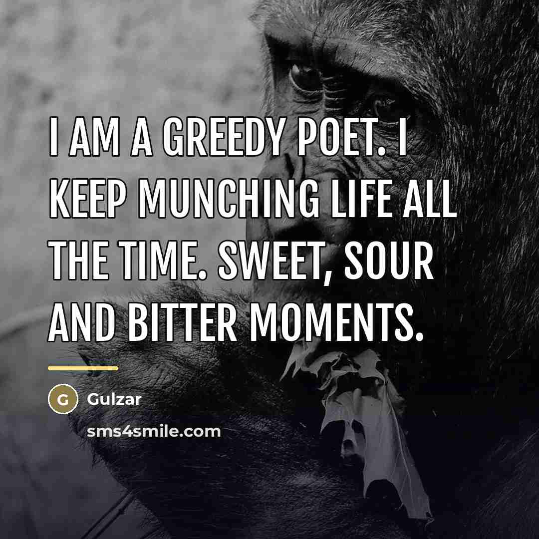 “I am a greedy poet. I keep munching life all…” quote by Gulzar