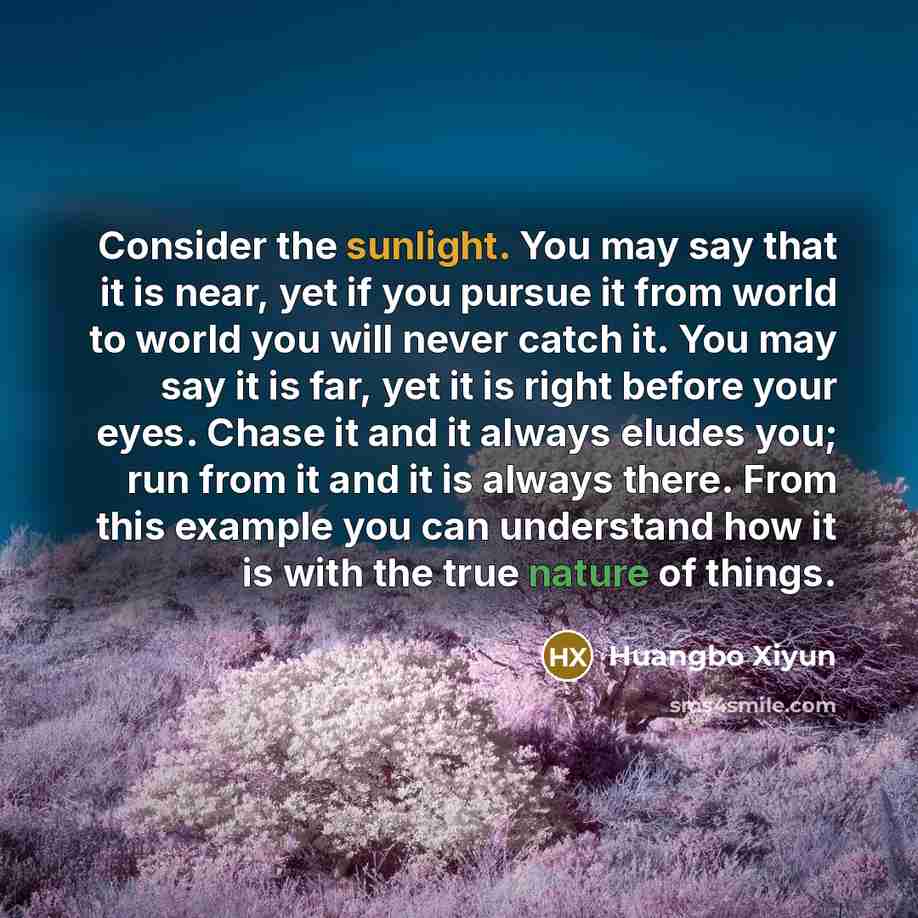 “Consider the sunlight. You may say that it is near,…” quote by Huangbo Xiyun