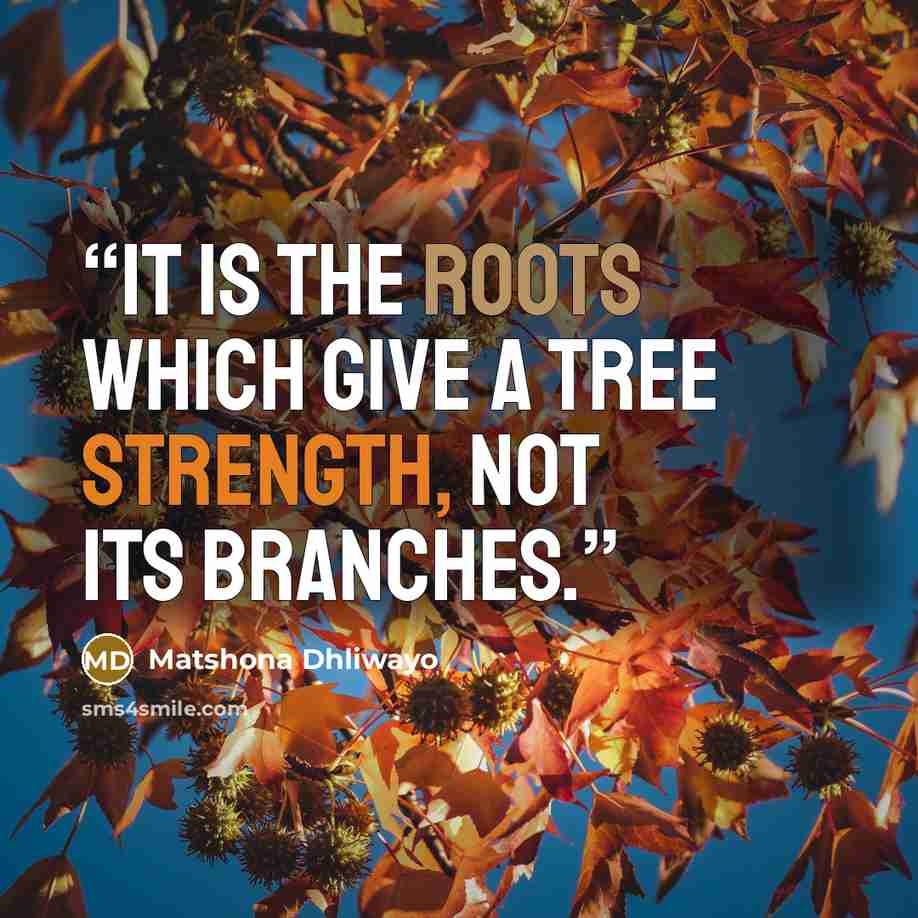 “It is the roots which give a tree strength, not its branches.” quote by Matshona Dhliwayo