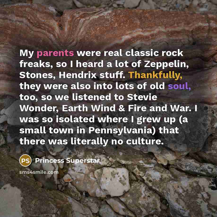 “My parents were real classic rock freaks, so I heard…” quote by Princess Superstar