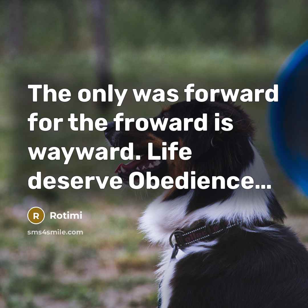 “The only was forward for the froward is wayward. Life…” quote by Rotimi