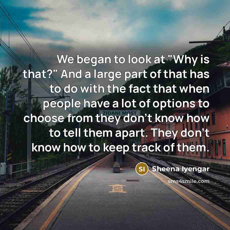 “We began to look at "Why is that?" And a…” quote by Sheena Iyengar