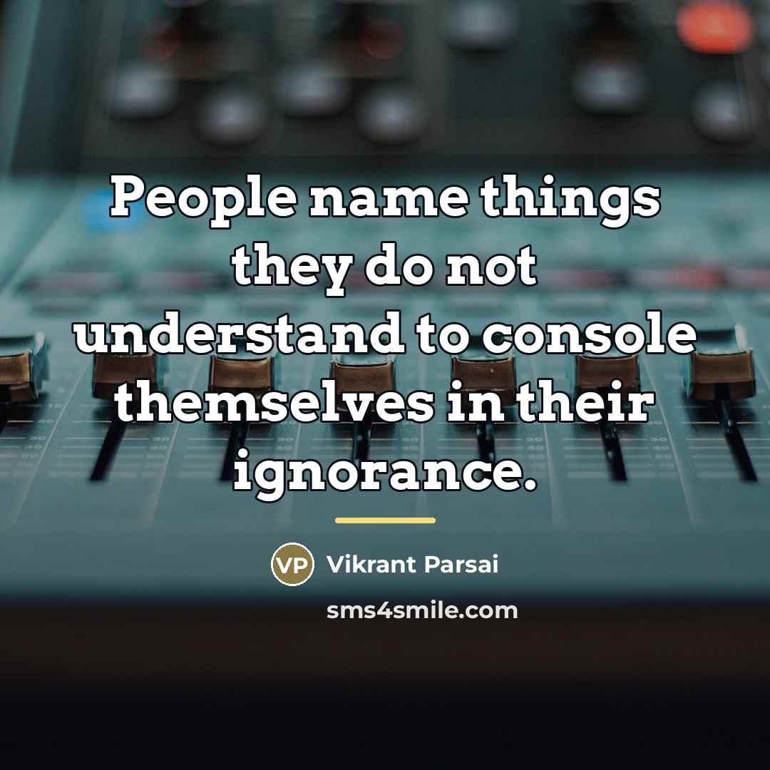 “People name things they do not understand to console themselves…” quote by Vikrant Parsai