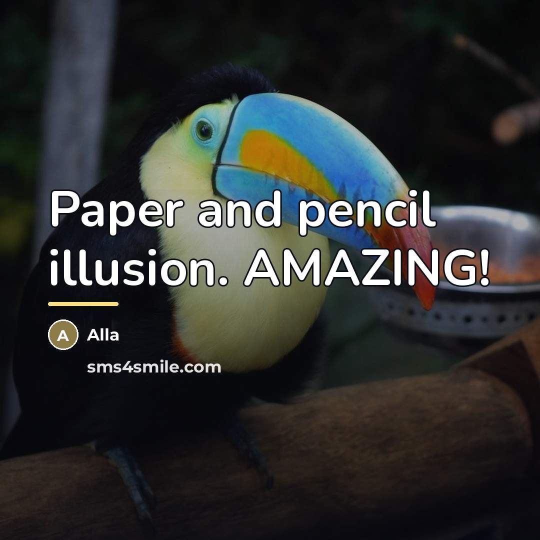 “Paper and pencil illusion. AMAZING!…” quote by Alla