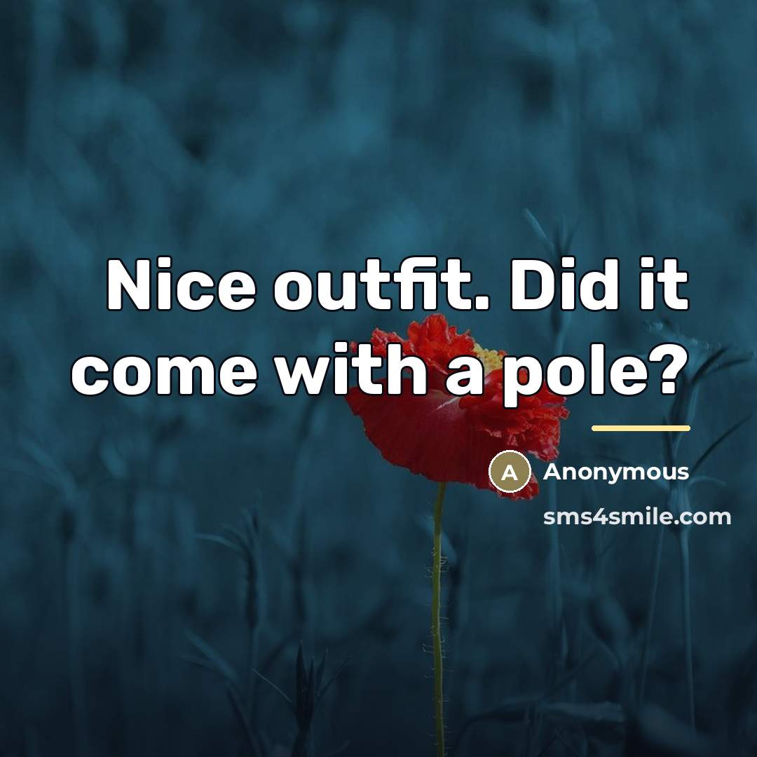 “Nice outfit. Did it come with a pole?…” quote by Anonymous