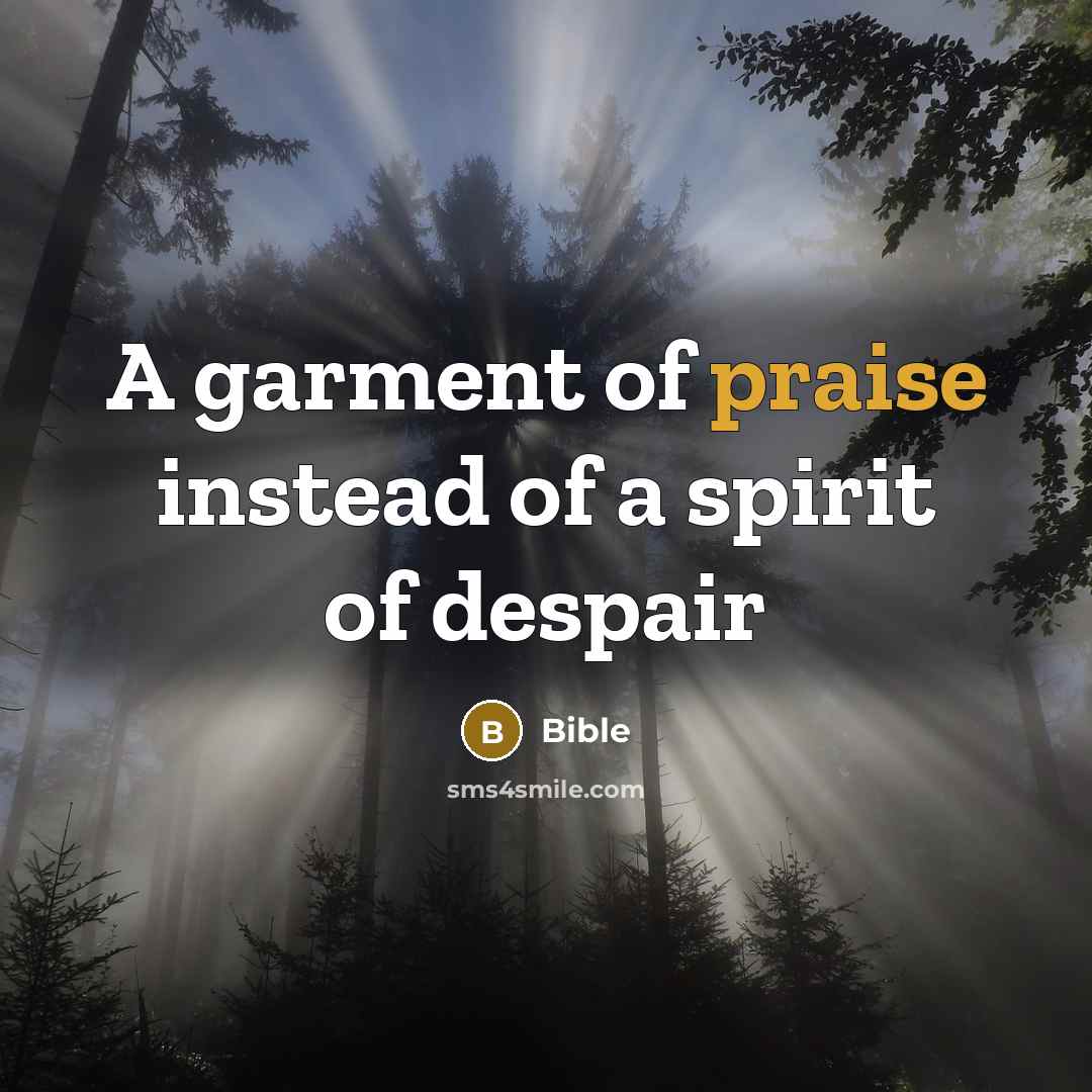 “A garment of praise instead of a spirit of despair…” quote by Bible