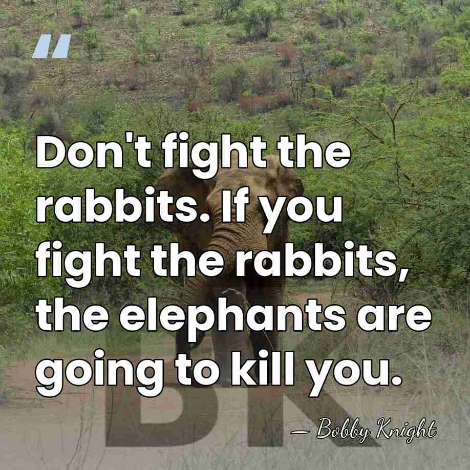 Don't fight the rabbits. If you fight the rabbits, the elephants are&hellip; - Bobby Knight