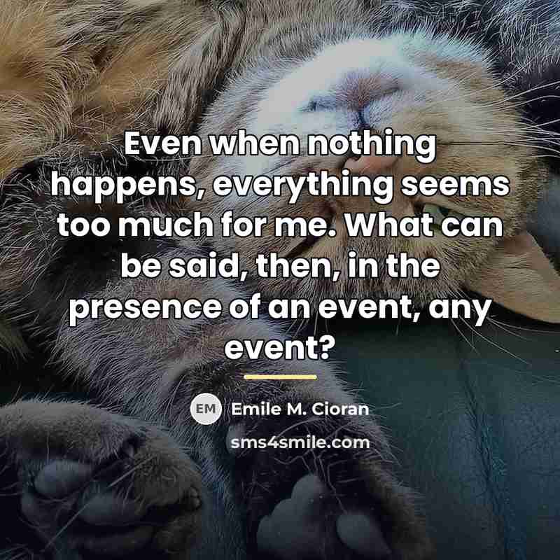 “Even when nothing happens, everything seems too much for me.…” quote by Emile M. Cioran