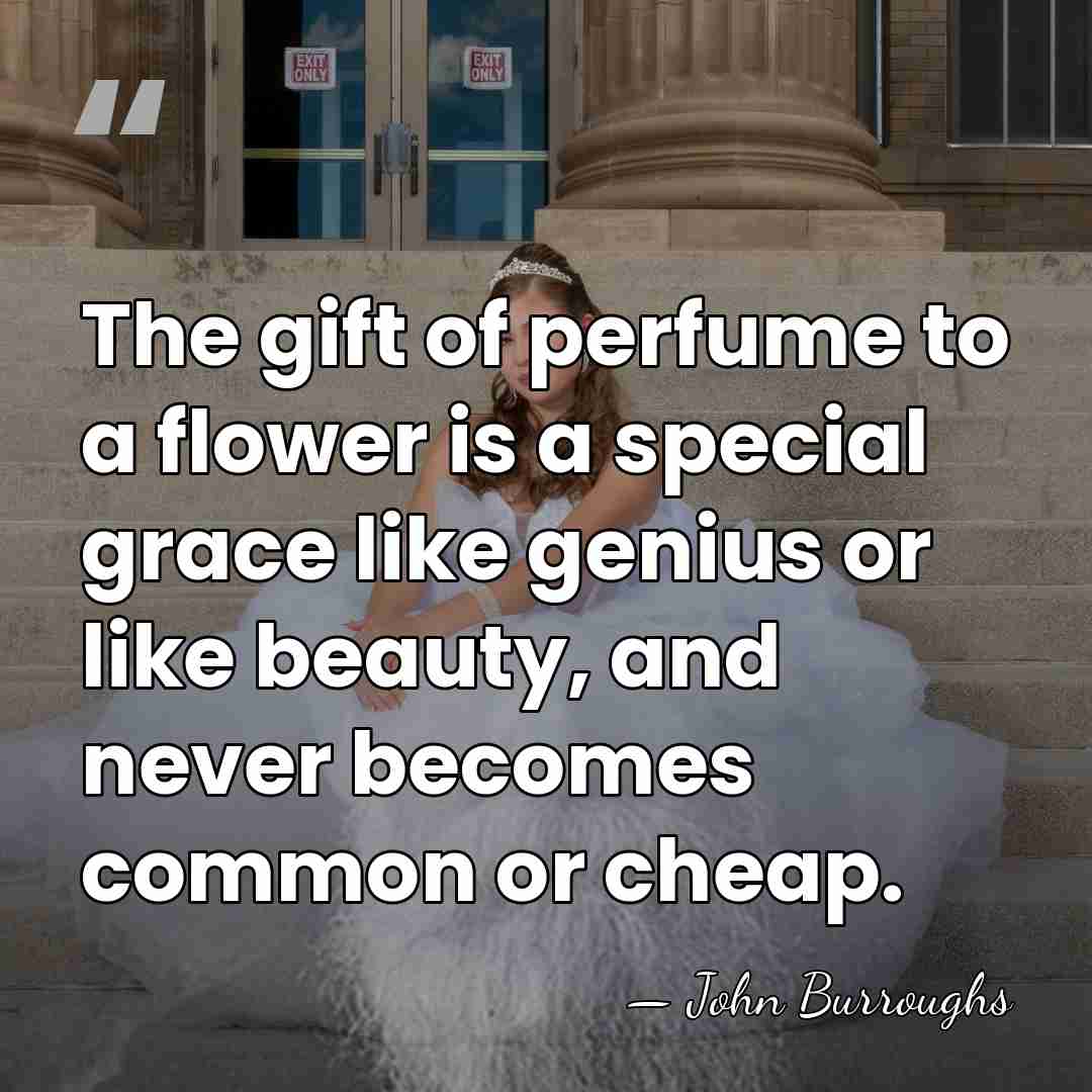 The gift of perfume to a flower is a special grace like&hellip; - John Burroughs