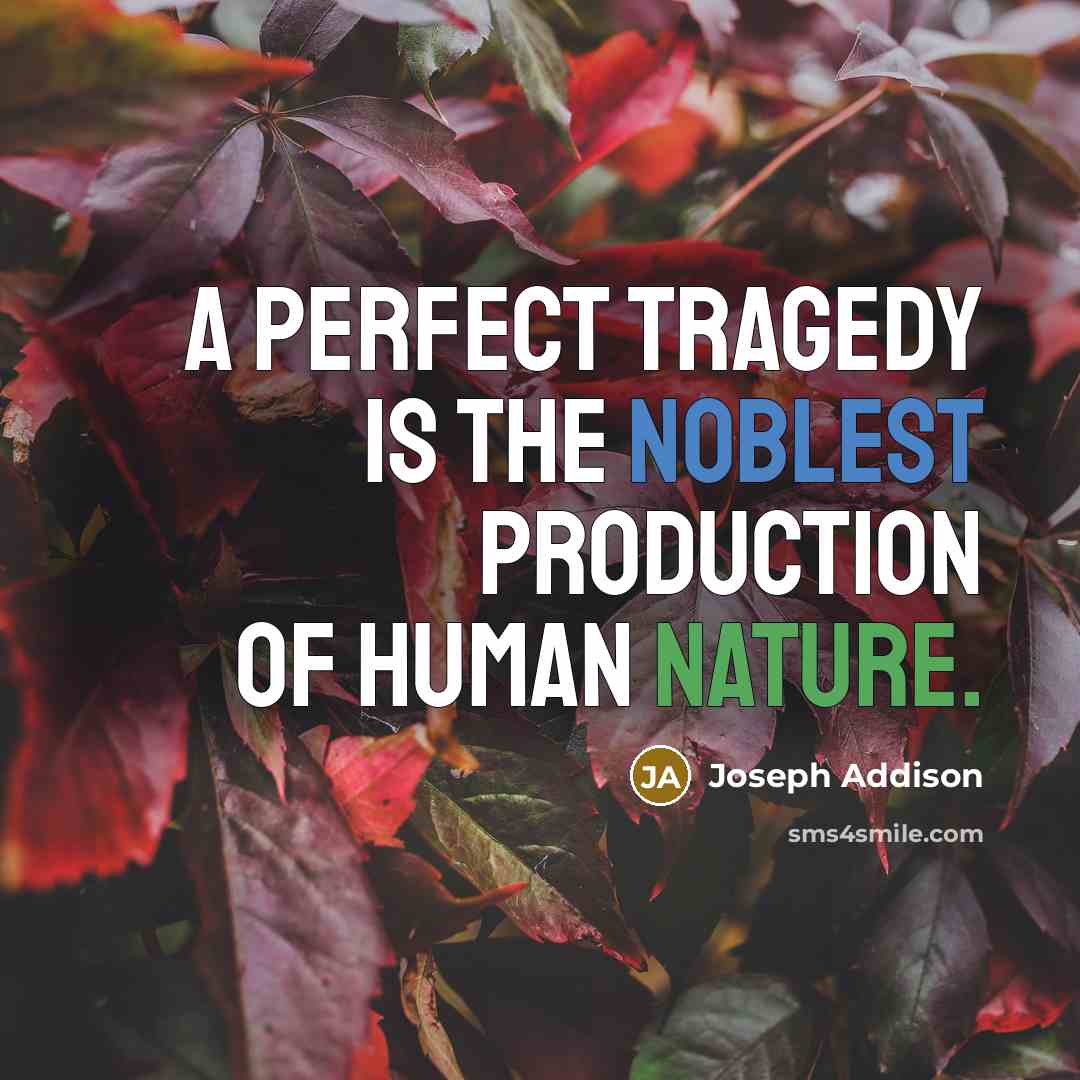 “A perfect tragedy is the noblest production of human nature.…” quote by Joseph Addison