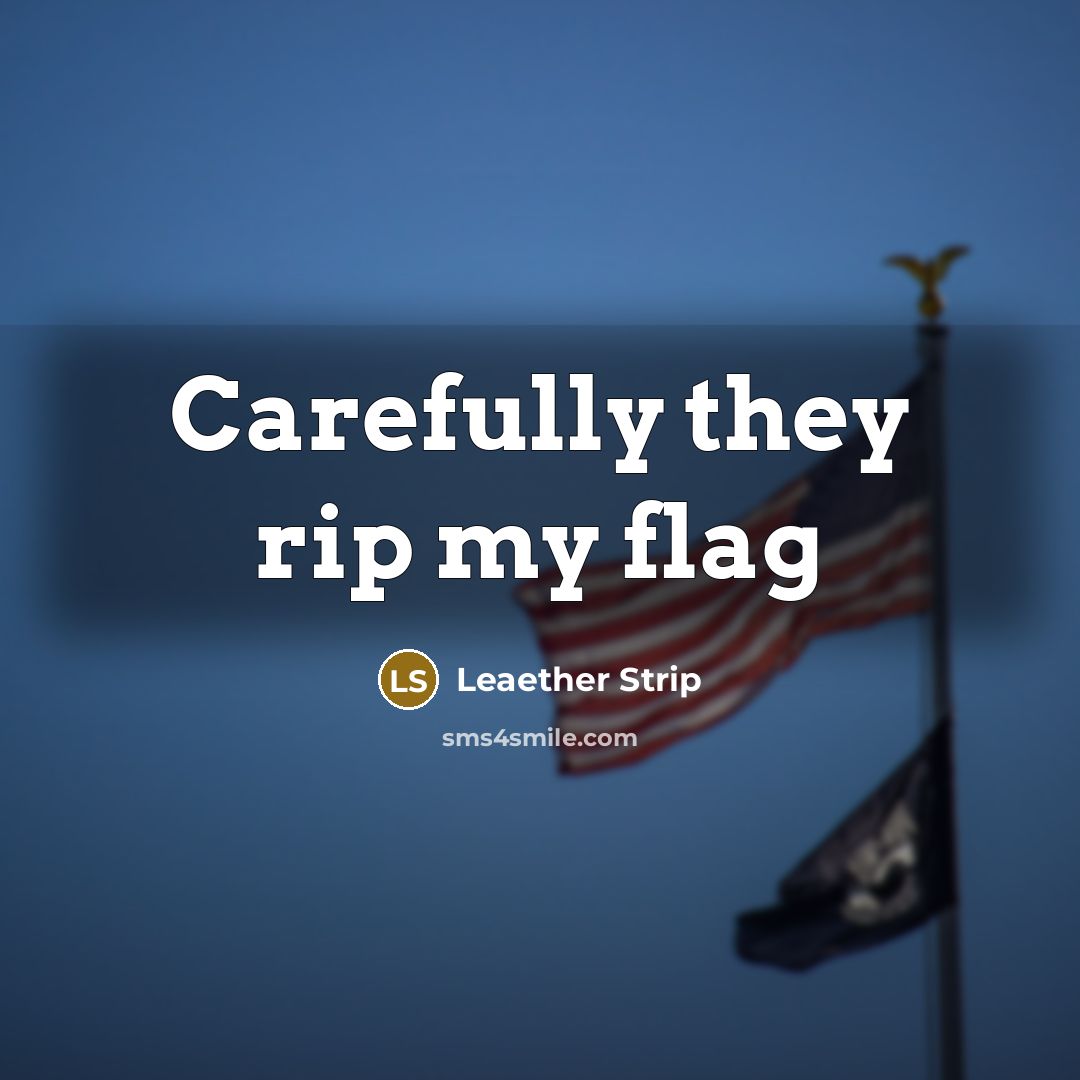 “Carefully they rip my flag…” quote by Leaether Strip