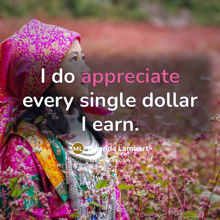 “I do appreciate every single dollar I earn.…” quote by Miranda Lambert