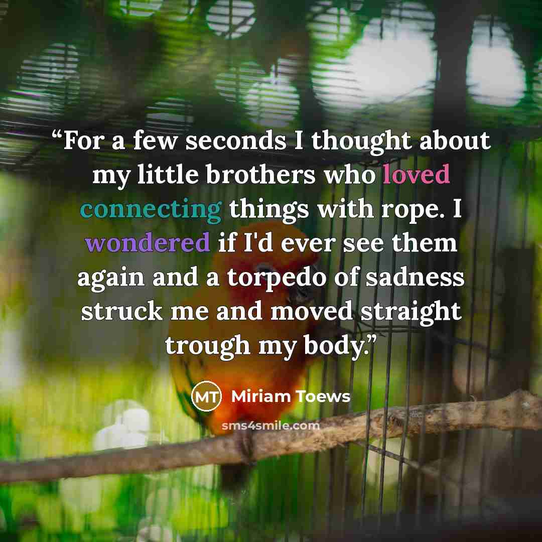 “For a few seconds I thought about my little brothers who loved connecting things with rope. I wondered if I'd ever see them again and a torpedo of sadness struck me and moved straight trough my body.” quote by Miriam Toews
