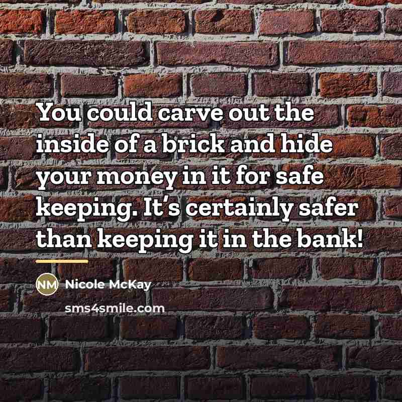 “You could carve out the inside of a brick and…” quote by Nicole McKay