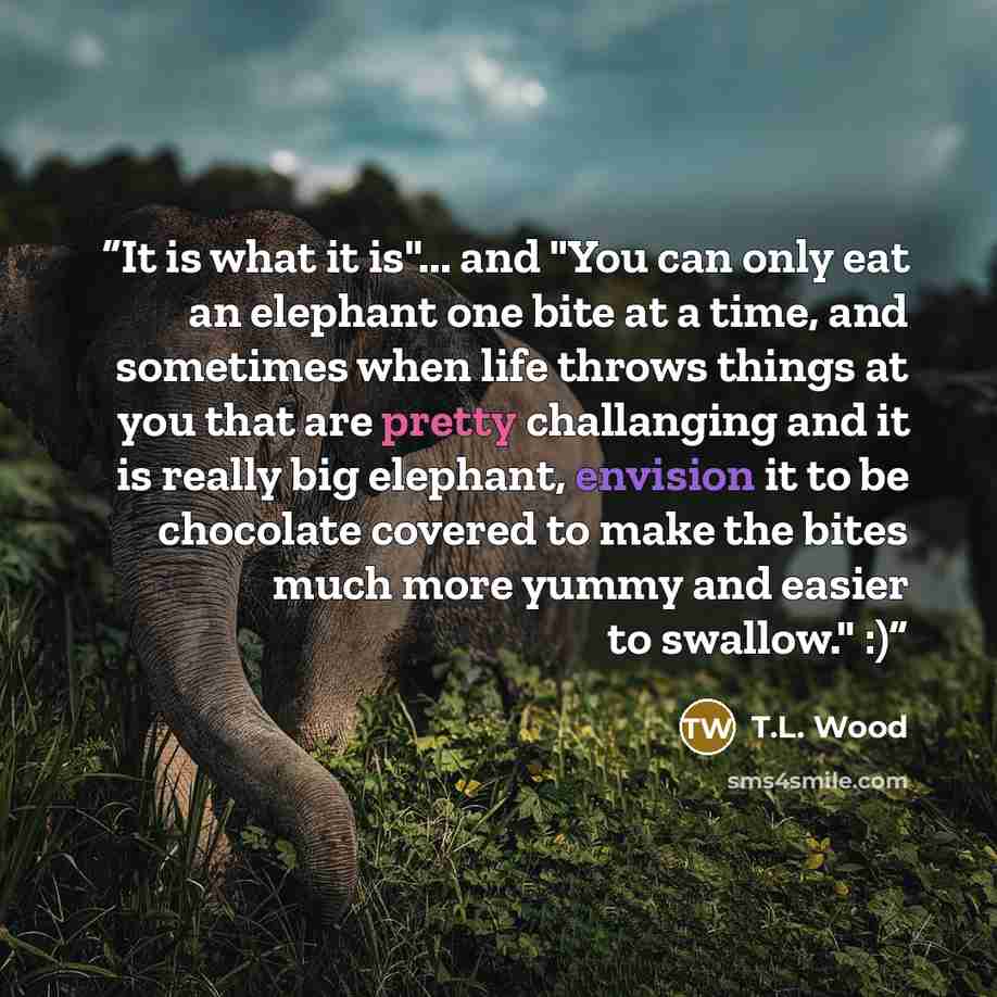 “It is what it is"... and "You can only eat an elephant one bite at a time, and sometimes when life throws things at you that are pretty challanging and it is really big elephant, envision it to be chocolate covered to make the bites much more yummy and easier to swallow." :)” quote by T.L. Wood