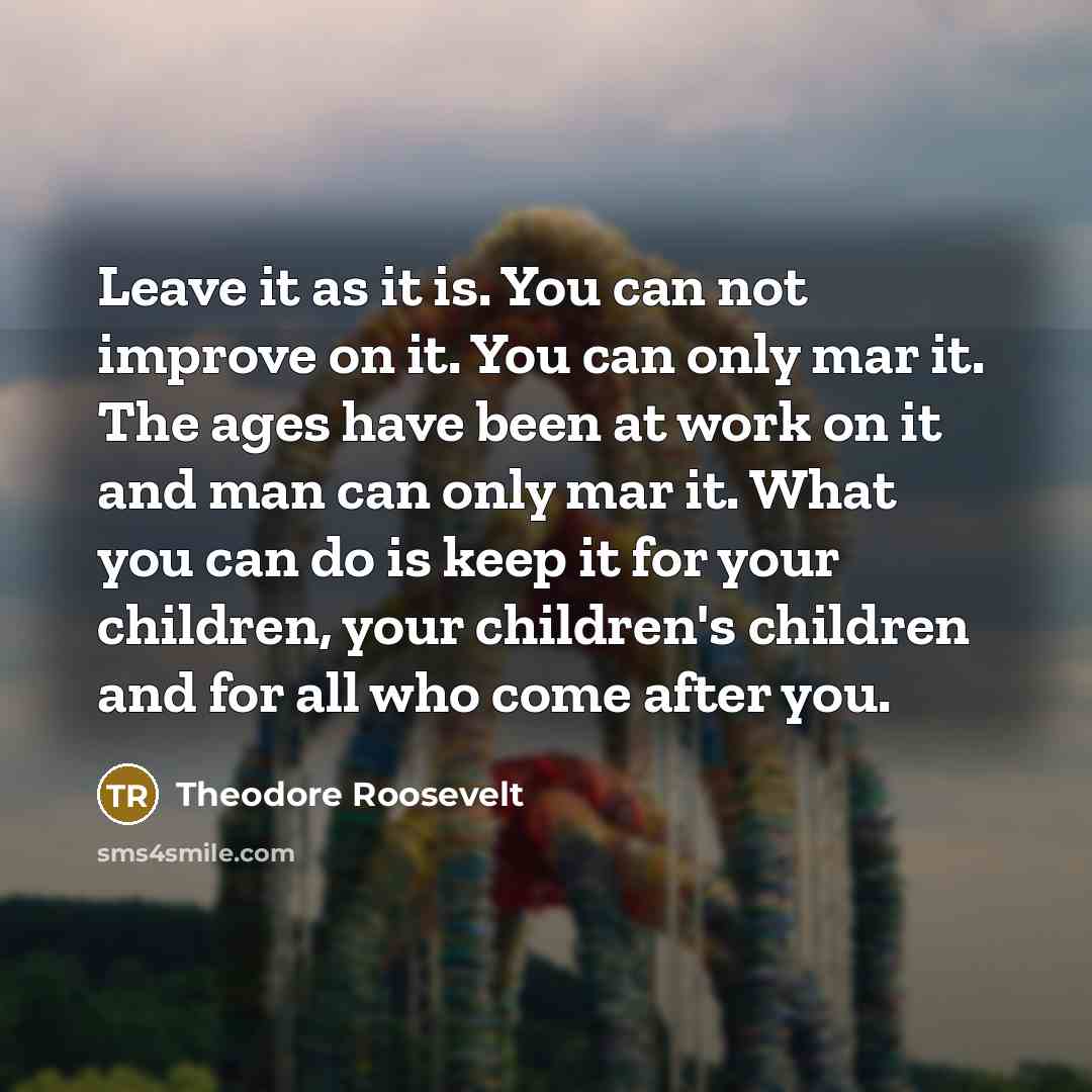 “Leave it as it is. You can not improve on…” quote by Theodore Roosevelt