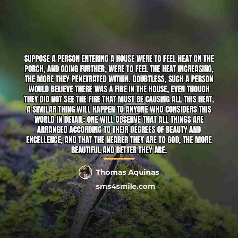 “Suppose a person entering a house were to feel heat…” quote by Thomas Aquinas