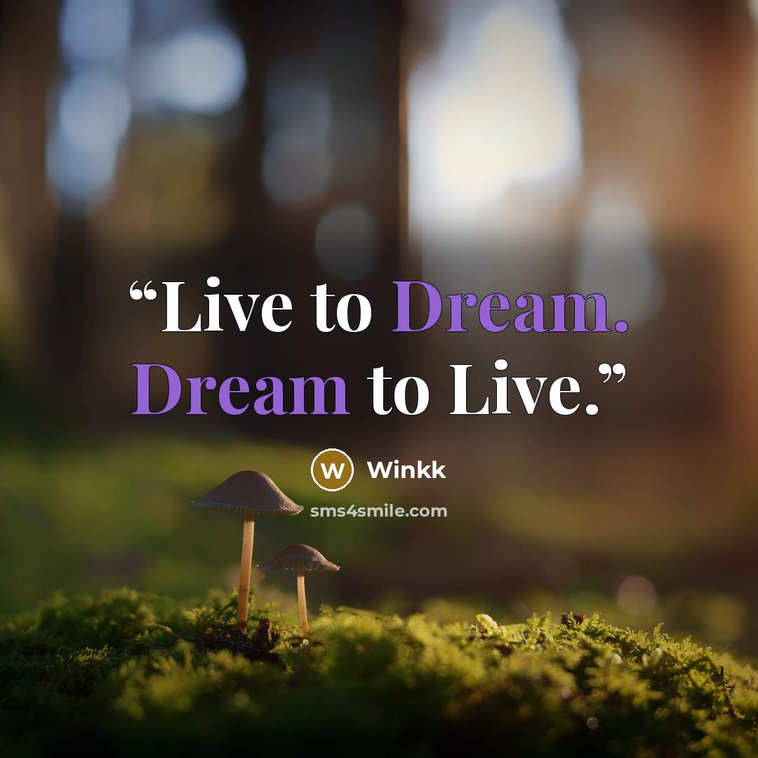“Live to Dream. Dream to Live.” quote by Winkk
