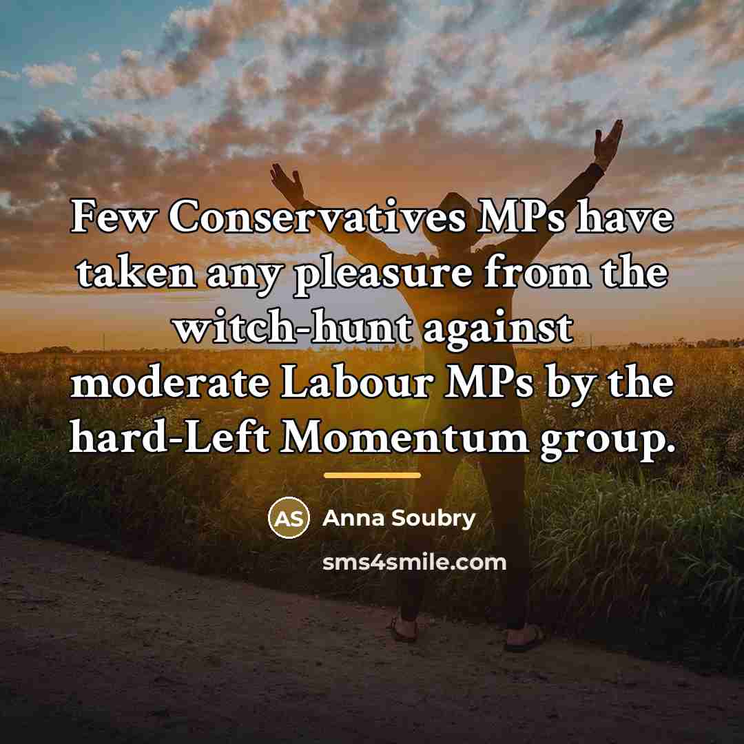 “Few Conservatives MPs have taken any pleasure from the witch-hunt…” quote by Anna Soubry