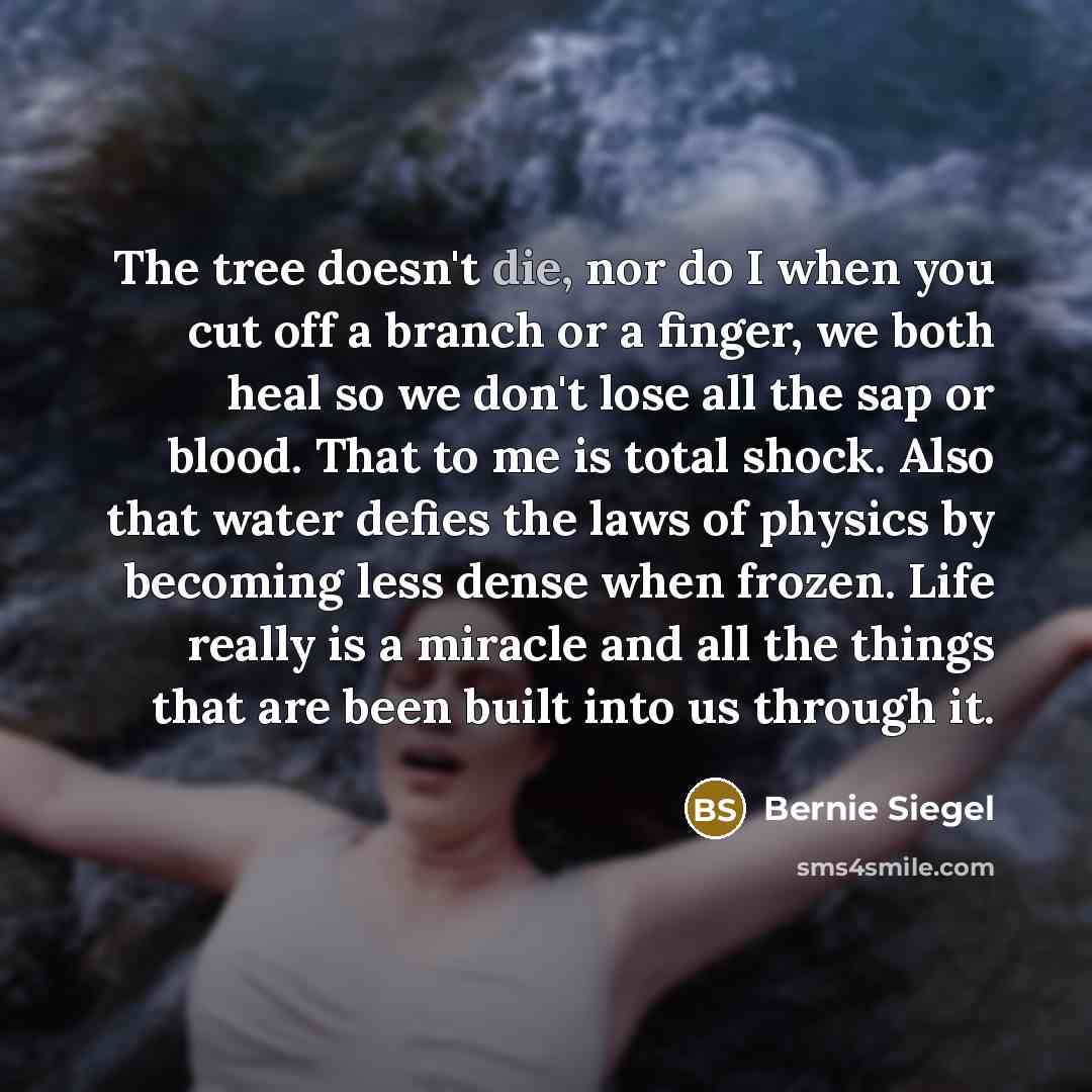 “The tree doesn't die, nor do I when you cut…” quote by Bernie Siegel