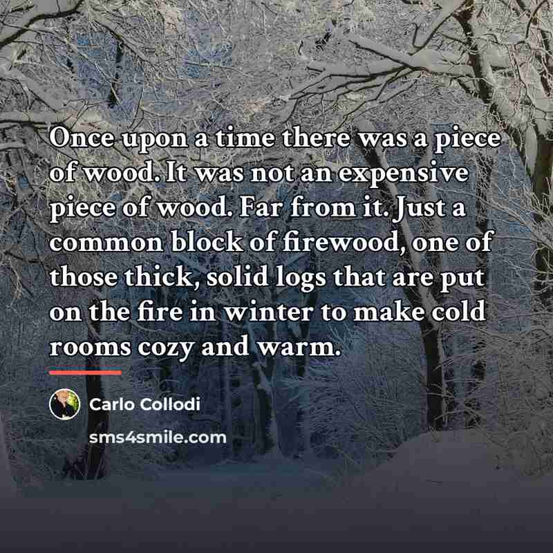 “Once upon a time there was a piece of wood.…” quote by Carlo Collodi