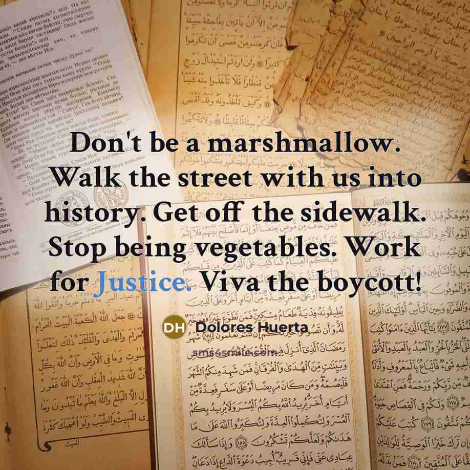 “Don't be a marshmallow. Walk the street with us into…” quote by Dolores Huerta